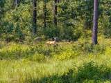 0 Frontier Bend - Photo 5