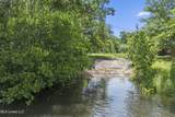 4524 Audubon Trail - Photo 9