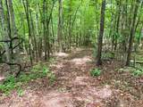 Tbd Pepper Town Rd - Photo 4