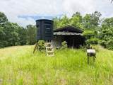 Tbd Pepper Town Rd - Photo 9