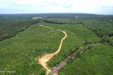  Alice Williams Road - Photo 1