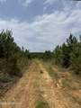  Alice Williams Road - Photo 4
