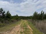  Alice Williams Road - Photo 5