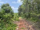  Alice Williams Road - Photo 6