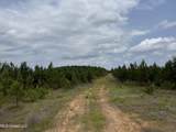  Alice Williams Road - Photo 7
