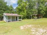 16450 Bell Creek Road - Photo 39