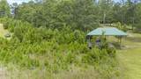  Burnt Pine Road - Photo 1
