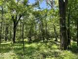  Springwood Trail - Photo 3