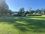  Panola Drive - Photo 6