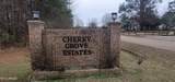 0 Edward Owens Drive - Photo 1