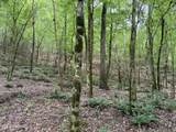  Lake Road - Photo 10