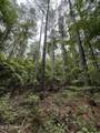  Lake Road - Photo 11