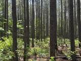  County Road 5204 - Photo 27