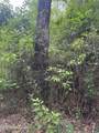 134a Harry Sones Rd - Photo 6