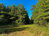 275+/- J M Burge Road - Photo 3
