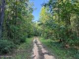275+/- J M Burge Road - Photo 6