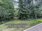  Pine Lodge Road Road - Photo 45