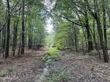  Pine Lodge Road Road - Photo 48