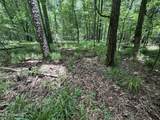  Pine Lodge Road Road - Photo 65