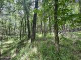 Pine Lodge Road Road - Photo 82