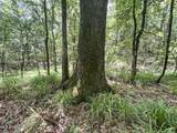  Pine Lodge Road Road - Photo 83