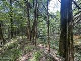  Pine Lodge Road Road - Photo 88