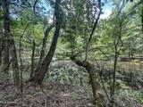  Pine Lodge Road Road - Photo 90
