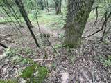  Pine Lodge Road Road - Photo 91