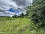  Pine Lodge Road Road - Photo 93