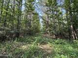  Pine Lodge Road Road - Photo 98