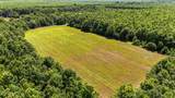 0 Priddy Rd - Photo 8