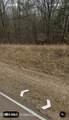 3197 Fogg Road - Photo 4
