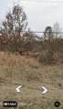 3197 Fogg Road - Photo 7