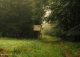 1267 Way Road - Photo 3