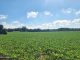  Spillers Road - Photo 38