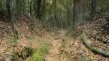  Dog Pen Road - Photo 46