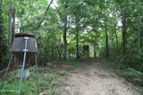 317 Lakeview Drive - Photo 50