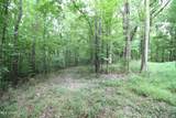 317 Lakeview Drive - Photo 94