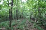 317 Lakeview Drive - Photo 96