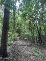  Pine Bluff Road - Photo 4