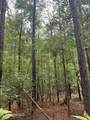  Pine Bluff Road - Photo 6