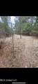 580 Hwy 61 North - Photo 14
