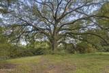 8.13 Acres Dixie Street - Photo 15