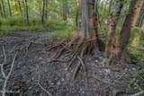 0000 Browning Rd - Photo 10