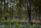 0000 Browning Rd - Photo 13