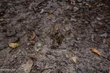 0000 Browning Rd - Photo 16