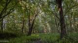 0000 Browning Rd - Photo 2