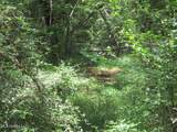  Belle Gardner Road - Photo 6
