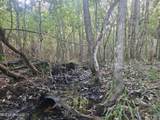  Ben Byrd Road - Photo 28