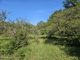  Ben Byrd Road - Photo 46